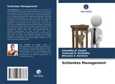 Buchcover von Schlankes Management