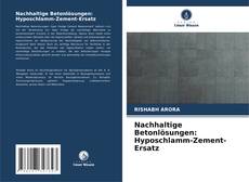 Portada del libro de Nachhaltige Betonlösungen: Hyposchlamm-Zement-Ersatz