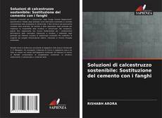 Buchcover von Soluzioni di calcestruzzo sostenibile: Sostituzione del cemento con i fanghi
