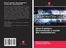 Couverture de Nano Frontiers: Desvendando o mundo dos nanomateriais