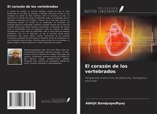 Buchcover von El corazón de los vertebrados