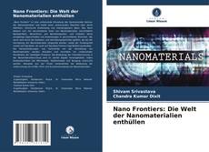 Portada del libro de Nano Frontiers: Die Welt der Nanomaterialien enthüllen