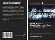 Nanofronteras: Desvelando el mundo de los nanomateriales的封面