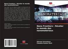 Buchcover von Nano Frontiers : Révéler le monde des nanomatériaux