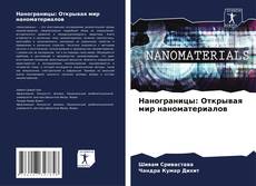 Нанограницы: Открывая мир наноматериалов kitap kapağı