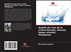 Bookcover of Qualité de l'eau de la rivière Salcedo, Salcedo, Samar oriental, Philippines