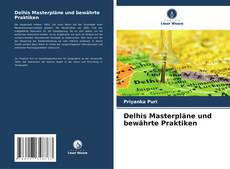 Delhis Masterpläne und bewährte Praktiken kitap kapağı