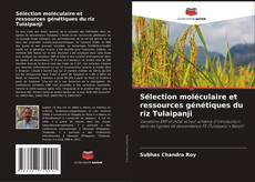 Buchcover von Sélection moléculaire et ressources génétiques du riz Tulaipanji