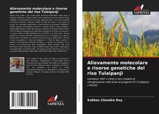 Capa do livro de Allevamento molecolare e risorse genetiche del riso Tulaipanji 