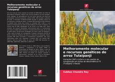 Couverture de Melhoramento molecular e recursos genéticos do arroz Tulaipanji