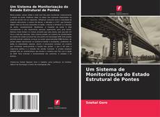 Copertina di Um Sistema de Monitorização do Estado Estrutural de Pontes