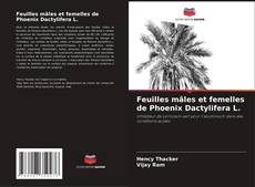 Bookcover of Feuilles mâles et femelles de Phoenix Dactylifera L.