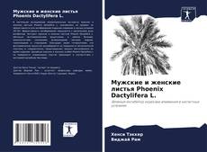 Bookcover of Мужские и женские листья Phoenix Dactylifera L.