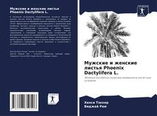 Portada del libro de Мужские и женские листья Phoenix Dactylifera L.