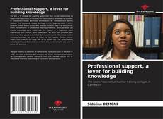 Buchcover von Professional support, a lever for building knowledge
