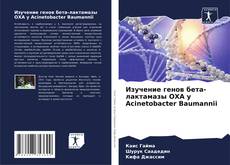 Обложка Изучение генов бета-лактамазы OXA у Acinetobacter Baumannii