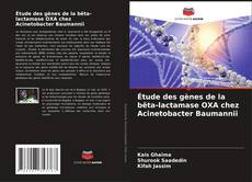 Couverture de Étude des gènes de la bêta-lactamase OXA chez Acinetobacter Baumannii