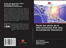 Bookcover of Étude des gènes de la bêta-lactamase OXA chez Acinetobacter Baumannii