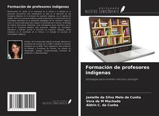 Capa do livro de Formación de profesores indígenas 
