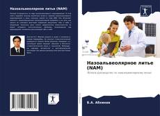 Назоальвеолярное литье (NAM) kitap kapağı