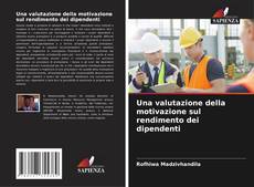 Bookcover of Una valutazione della motivazione sul rendimento dei dipendenti