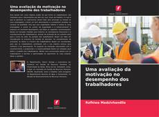 Copertina di Uma avaliação da motivação no desempenho dos trabalhadores