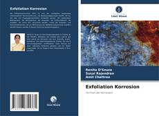 Capa do livro de Exfoliation Korrosion 