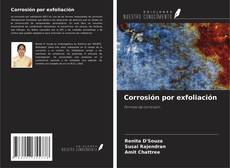 Bookcover of Corrosión por exfoliación
