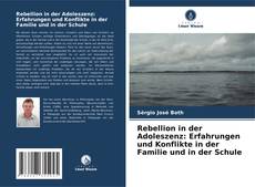 Bookcover of Rebellion in der Adoleszenz: Erfahrungen und Konflikte in der Familie und in der Schule