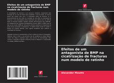 Copertina di Efeitos de um antagonista de BMP na cicatrização de fracturas num modelo de ratinho