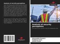 Capa do livro de Analysis of security perceptions 