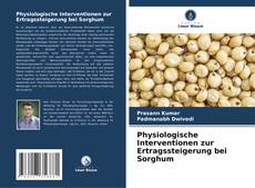 Capa do livro de Physiologische Interventionen zur Ertragssteigerung bei Sorghum 