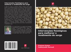 Couverture de Intervenções fisiológicas para melhorar o rendimento do sorgo