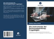 Buchcover von Die Instrumente der Rechnungsprüfung: Fragebögen