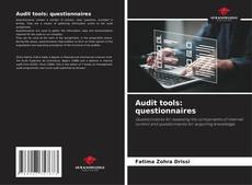 Audit tools: questionnaires kitap kapağı