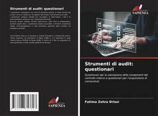 Buchcover von Strumenti di audit: questionari