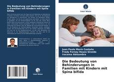 Die Bedeutung von Behinderungen in Familien mit Kindern mit Spina bifida kitap kapağı