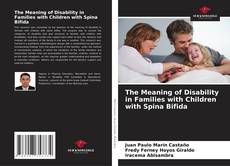 Portada del libro de The Meaning of Disability in Families with Children with Spina Bifida