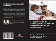 Capa do livro de La signification du handicap dans les familles d'enfants atteints de spina-bifida 