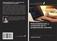 Capa do livro de Metamodelización y evaluación de la programación extrema 