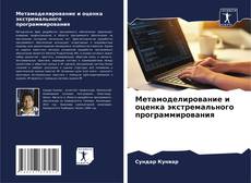Buchcover von Метамоделирование и оценка экстремального программирования