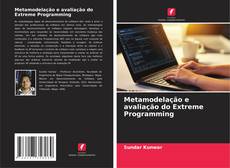 Metamodelação e avaliação do Extreme Programming kitap kapağı