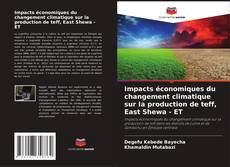 Buchcover von Impacts économiques du changement climatique sur la production de teff, East Shewa - ET