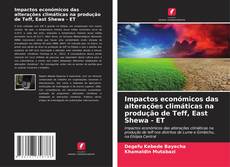 Copertina di Impactos económicos das alterações climáticas na produção de Teff, East Shewa - ET