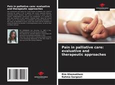 Copertina di Pain in palliative care: evaluative and therapeutic approaches
