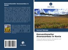 Buchcover von Konventioneller Ananasanbau in Kenia