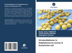 Virulenzfaktoren in Staphylococcus aureus & Escherichia coli kitap kapağı