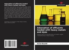 Portada del libro de Adsorption of effluents loaded with heavy metals and dyes