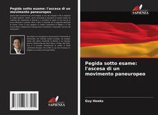 Bookcover of Pegida sotto esame: l'ascesa di un movimento paneuropeo