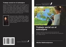 Trabajo social en el extranjero kitap kapağı